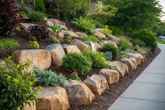 a garden with rocks and flowers on the side