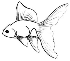 a black and white drawing of a goldfish