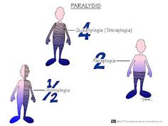 three dimensional figures are shown with numbers and words