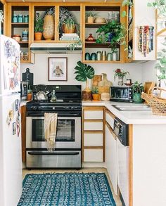 a kitchen with wooden cabinets and plants on the shelves above the stove top, along with an area rug