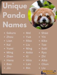 Unique panda names that highlight your pet's personality. Ideal for panda owners looking for a one-of-a-kind and memorable name. Animal Nicknames, Panda Names, Panda Teddy, Cute Name, Names Unique, Cute Names, Pet, Funny