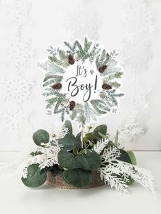 it's a boy card surrounded by greenery and pine cones on a white background