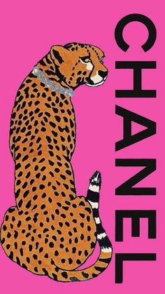 a cheetah sitting on its hind legs with the word chanel written below it