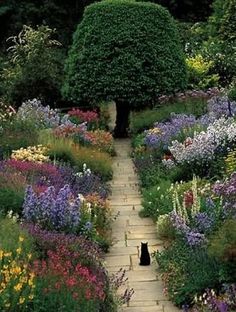 a black cat sitting in the middle of a garden filled with lots of flowers and trees