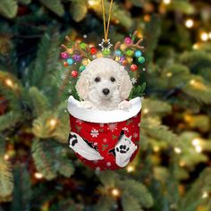 a white dog wearing a christmas stocking ornament hanging from a christmas tree