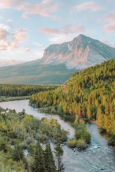 a river running through a lush green forest next to a tall mountain covered in snow