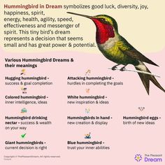 Hummingbird in Dream: 45 Types and Their Meanings Hummingbird Spiritual Meaning, Hummingbird Meaning, Dream Interpretation Symbols, Hummingbird Symbolism, Symbol Of Happiness, Hummingbird Nectar, Small Ideas, Animal Medicine, Sleep Dream