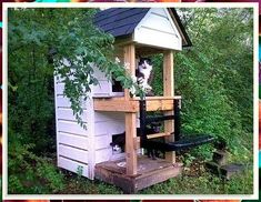 Get the best cat house for your pet from Amazon's extensive range of pet products. Outside Cat Enclosure, Katt Hus