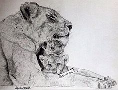 a pencil drawing of a lion with two cubs on it's back, and the mother is holding her cub