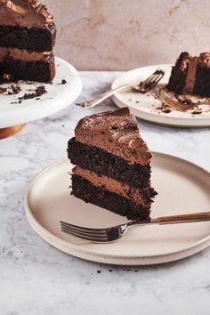 two plates with slices of chocolate cake on them