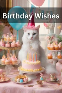 a white cat sitting in front of a birthday cake