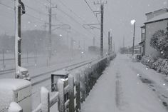 a snow covered street with power lines and telephone poles in the background on a snowy day