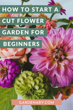 colorful flowers with text overlay how to start a cut flower garden for beginners