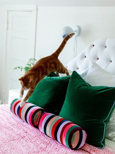 a cat walking on top of a bed next to pillows and pillow cases with colorful stripes