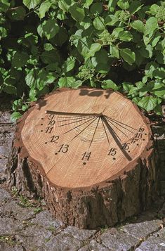 a tree stump with a clock on it