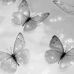 black and white photograph of three butterflies flying in the sky with stars on their wings