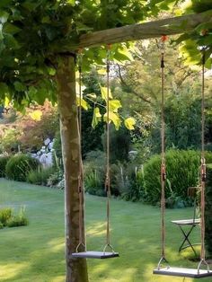 there are two swings in the yard