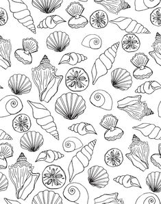 sea shells and seashells coloring pages for kids to print on the wall or use as