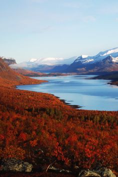 the mountains are covered in snow and orange trees with red leaves on them, near a body of water