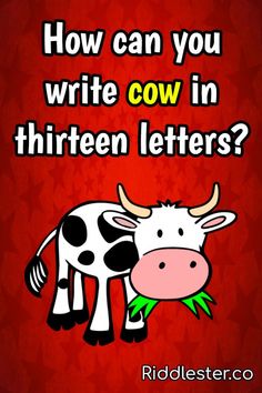 a cow is eating grass in front of a red background with the words, how can you write cow in thirteen letters?