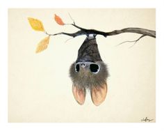 a drawing of a bat hanging upside down on a tree branch