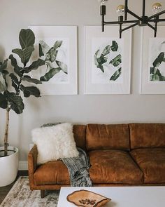 a living room filled with furniture and pictures hanging on the wall above a coffee table