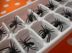 a tray filled with black spider magnets on top of an orange and white table