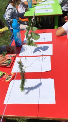 children are sitting at a long red table with white paper on it and plants growing out of the top