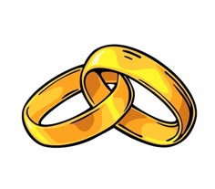 two gold wedding rings on white background