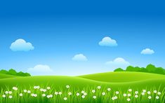 a green field with white flowers and blue sky