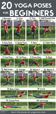 the 20 yoga poses for beginners