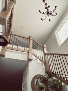 an open staircase leading to a second story with a potted plant on the floor