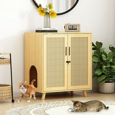 a cat laying on top of a rug next to a wooden cabinet with a clock