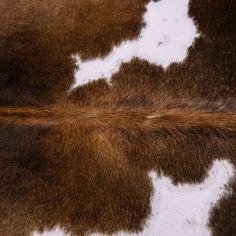 Our Chocolate and White Brazilian Cowhide Rugs with an amazing color that can match any theme for your home. A truly pleasant addition to your decorations, this hide will create a vibrant atmosphere wherever you put it. A dependable luxurious area rug that can endure being walked on even in heavy-traffic areas. Want something striking for another room? Look at the Rhodes Chocolate Patchwork Rug as well! Black And White Pillow, White Cowhide Rug, Black And White Pillows, Cowhide Pillows, Cowhide Rugs, Patchwork Rug, White Pillow, Cowhide Rug, Decor Buy