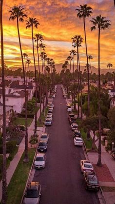 a street lined with palm trees and parked cars under a colorful sky at sunset or dawn