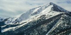 a snow covered mountain with trees in the foreground