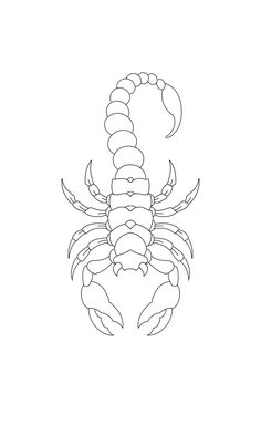 a black and white drawing of a scorpion