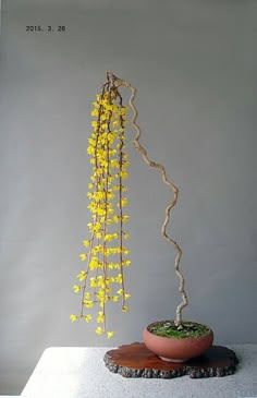 a potted plant with yellow flowers hanging from it's side on a table