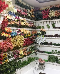 a room filled with lots of different types of flowers and plants hanging on the wall