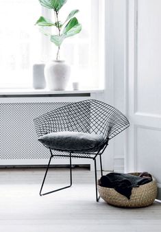 a white room with a black chair and a potted plant