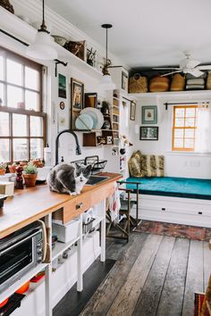 a cat sitting on top of a kitchen counter next to a sink and oven in front of a window