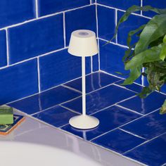 a blue tiled bathroom with a white floor lamp next to a green plant and books