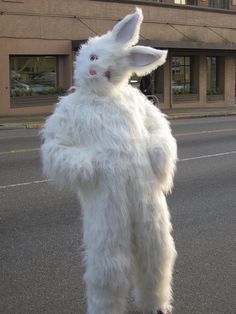 a person in a white bunny suit standing on the street