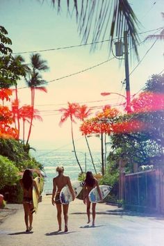 three women walking down the road with surfboards in hand and palm trees behind them