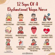 Calm Vagus Nerve, Reset Vagus Nerve, Nerve Damage Remedies, Vagus Nerve Symptoms, Vagus Nerve Exercise, Dorsal Vagal Shutdown, Vagas Nerve, Vagus Nerve Healing, Vagus Nerve Damage