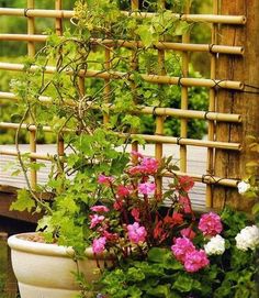 a potted plant sitting next to a wooden bench with flowers growing on it and bamboo fence in the background