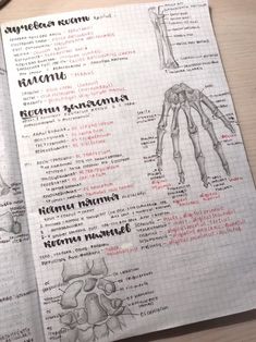 an open book with drawings of bones and handwritten text on the front cover, in spanish