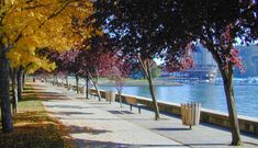 the trees are changing colors along the water's edge, and there is no image here to provide a caption for