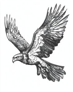 an eagle is flying in the air with its wings spread