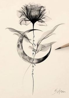 a pencil drawing of a flower and the moon